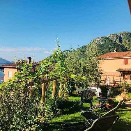 Agriturismo Botton D'Oro Dongo Kültér fotó