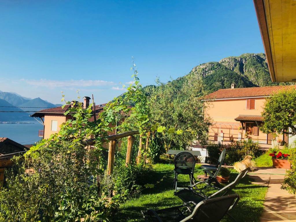 Agriturismo Botton D'Oro Dongo Kültér fotó
